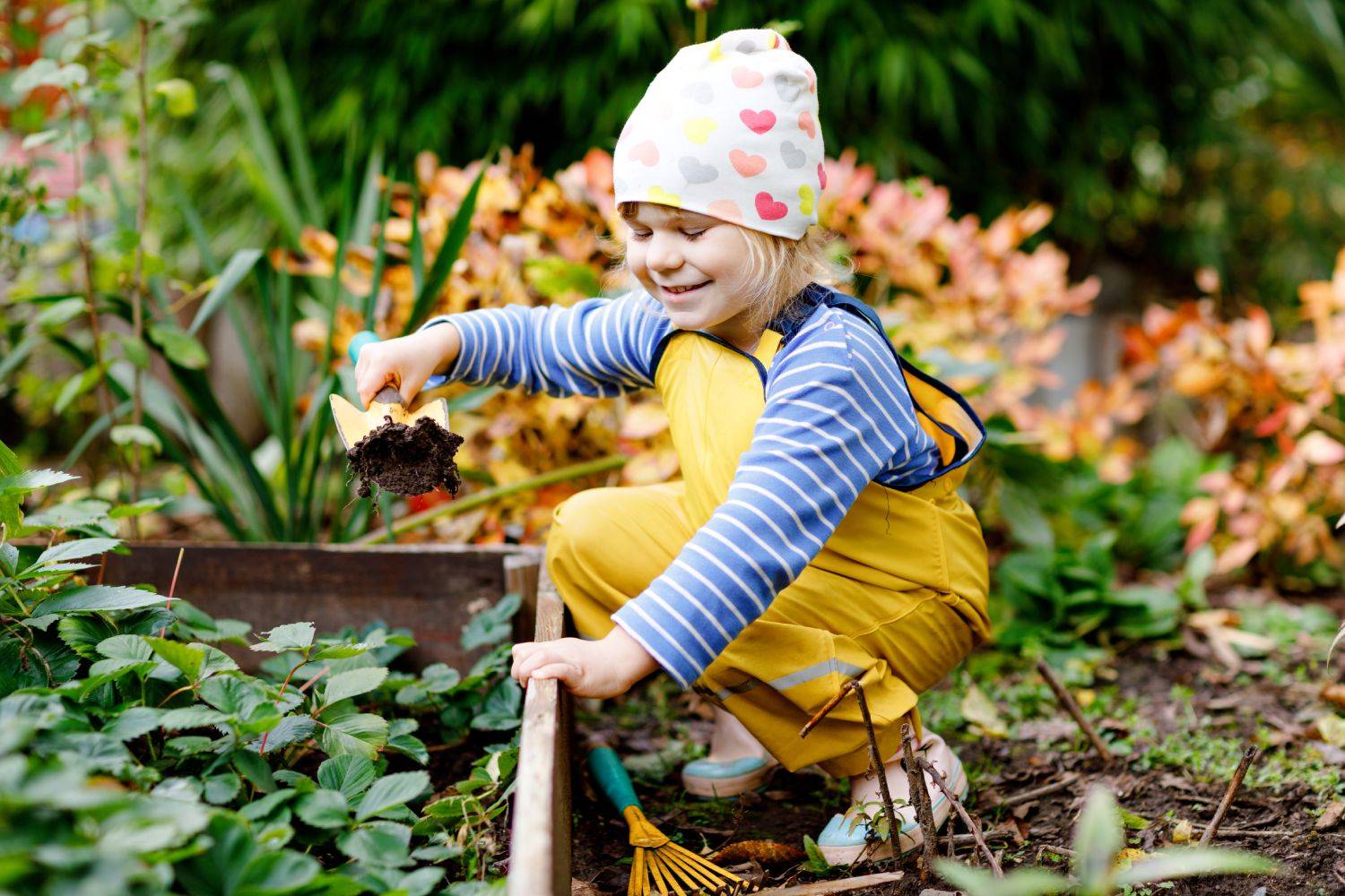 Moestuin kinderen 