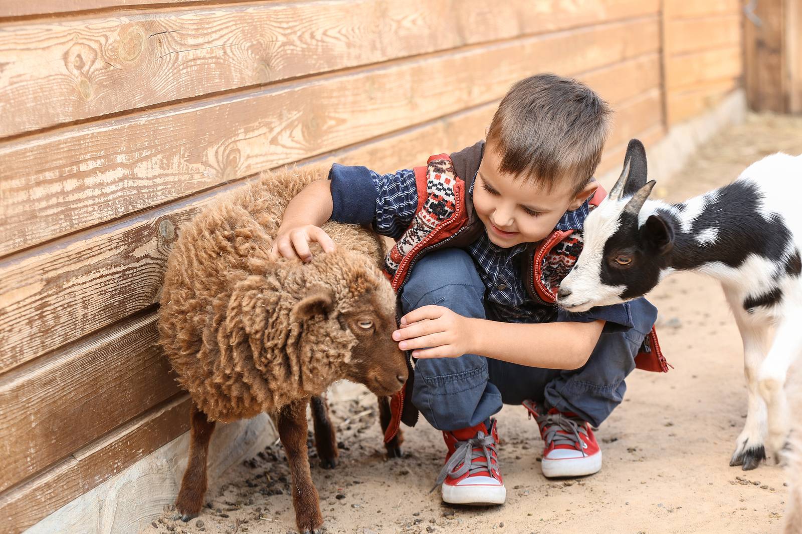 Natuurspeeltuinen en kinderboerderijen in den haag